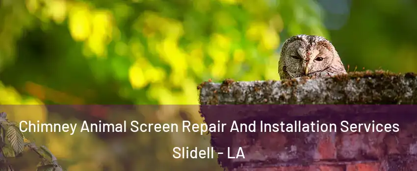  Chimney Animal Screen Repair And Installation Services Slidell - LA