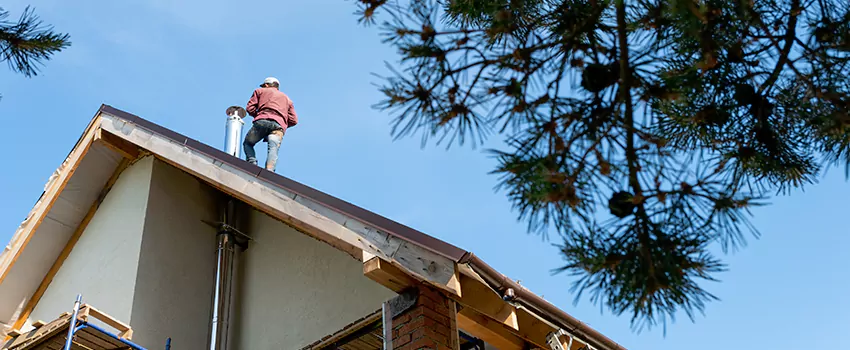 Birds Removal Contractors from Chimney in Slidell, LA
